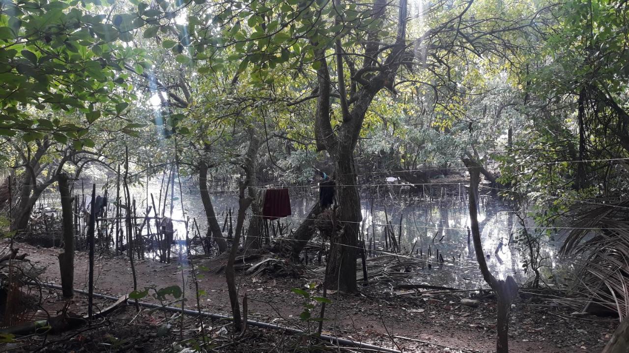 דיקוולה Freedom Villa Hiriketiya מראה חיצוני תמונה