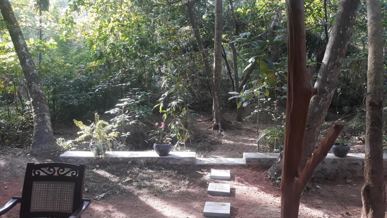 דיקוולה Freedom Villa Hiriketiya מראה חיצוני תמונה